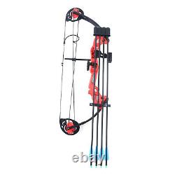15-25lbs Mini Compound Bow Set Arrow Bowfishing Hunting Archery Right Hand