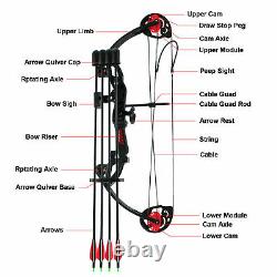 15-29LBS Youth Compound Bow Kit With4pcs Arrows Target Right Hand Practice Hunting