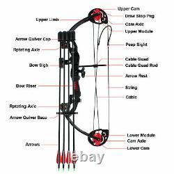 15-29lbs Compound Bow Kit With4pcs Arrows Right Hand Target Practice Hunting Youth