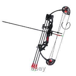 15-29lbs Compound Bow Kit With4pcs Arrows Right Hand Target Practice Hunting Youth