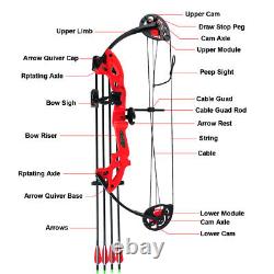 15-29lbs Compound Bow Sets Teens Kids Right Hand Bow Archery Hunting Equipment