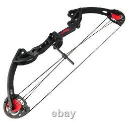 15-29lbs Pro Compound Bow Arrow Kit Archery Target Practice Hunting Right Hand