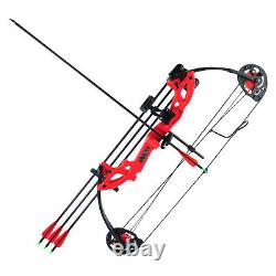 15-29lbs Pro Compound Bow Right Hand Bow Kit Archery Arrow Target Hunting Set