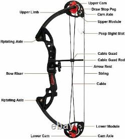 15-29lbs Pro Compound Right Hand Bow Kit Archery Arrow Target Hunting Black Set