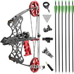 18 Mini Compound Bow 45lbs Steel Ball Arrows Archery Hunting Fishing RH LH