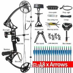 19-70lbs Compound Bow Package Kit Carbon Arrows Set Target Hunting Right Hand