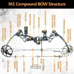19-70lbs Compound Bow Package Kit Carbon Arrows Set Target Hunting Right Hand