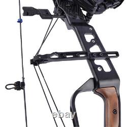 21.5lbs-60lbs Compound Bow Set Steel Ball Arrows 330fps Archery Hunting Target