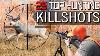 25 Top Hunting Kill Shots