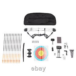 3060lbs 329fps Adult Compound Bow Kit Archery Hunting Shooting with 12 Arrows