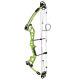 30-55lbs Compound Bow Adjustable 310fps Fishing Hunting Archery Shooting