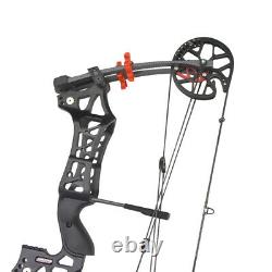 30-60lbs Compound Bow Archery Steel Ball Fishing Hunting Right Left Hand Target