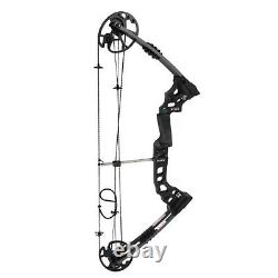 30-60lbs Pro Compound Bow Right Hand Bow Kit Archery Arrow Target Hunting Set US