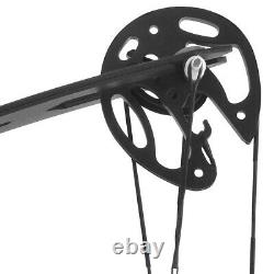 30lbs MINI Bowfishing Compound Bow Left Right Hand Archery Hunting