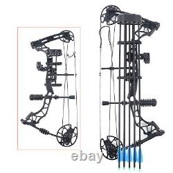 329fps Adult Compound Bow Kit Archery Hunting Shooting with 12 Arrows 35-70lbs