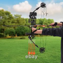 329fps Adult Compound Bow Kit Archery Hunting Shooting with 12 Arrows 35-70lbs