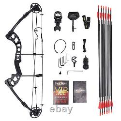 38.19 Compound Bow +12 Pcs Arrow Archery Hunting Black Set with Target paper