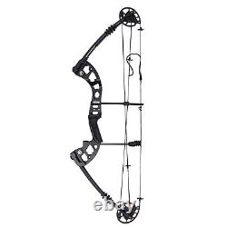 38.19 Compound Bow +12 Pcs Arrow Archery Hunting Black Set with Target paper
