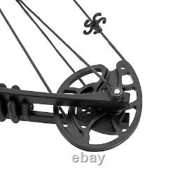 38.19inch Compound Bow +12 Pcs Arrow Archery Hunting Set Black Aluminum Alloy