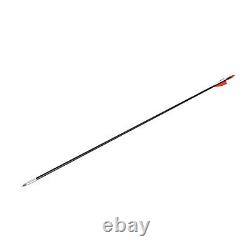 38.19inch Compound Bow Kit+12Pcs Arrows Archery Hunting Bow Set Black 30-55lbs