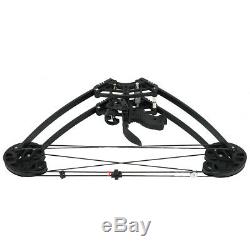 50lbs Triangle Compound Bow Right Left Hand Archery Hunting Shoot Competition