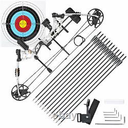 70 Lbs Pro Compound Right Hand Bow Kit Target Practice Hunting Arrows Archery