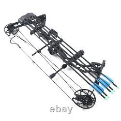 Adult Compound Bow Set Archery Hunting Shooting + 12 Arrows 35-70lbs 329fps USA