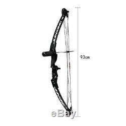 Archery Compound Bow 30-40lbs Adjustable Limbs Arrow Rest Stabilizer Hunting