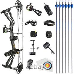 Archery Compound Bow Set 0-60lbs Carbon Arrows Archery Hunting Target Shooting