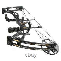 Archery Compound Bow Set 0-60lbs Carbon Arrows Archery Hunting Target Shooting