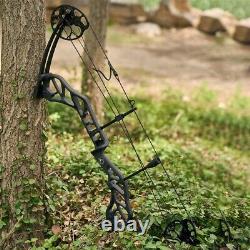 Archery Hunting Compound Bow & Arrows & Access Hunting SET IBO 320fps 19-70lbs