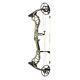 Bear Archery Divergent Compound Bow Hunting Bowhunting Short Ata 338 Fps