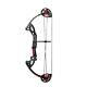 Black Mak Adult Hunting Archery Compound Bow Withbrush+3pcs Fiberglass Arrows