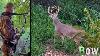 Bow Hunting Deer Early Season Success 200 Growingdeer Tv