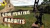 Bow Hunting Rabbits South Australia
