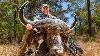 Bowhunting The Biggest Cape Buffalo Of My Life Hunting Black Death