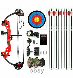 Compound Bow 15-29Lbs Right Hand Hunting Archery Target +10Pcs 30 Carbon Arrows