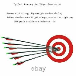 Compound Bow 15-29Lbs Right Hand Hunting Archery Target +10Pcs 30 Carbon Arrows