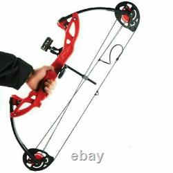 Compound Bow 15-29Lbs Right Hand Hunting Archery Target +16Pcs 30 Carbon Arrows