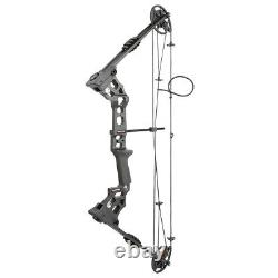 Compound Bow Arrows Set 20-70lbs Adjustable Archery Bow Bag Hunting 320FPS RH LH