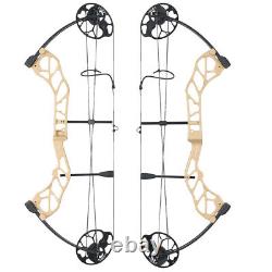 Compound Bow Set 19-70lbs Arrows Adjustable Archery Hunting Adult Shooting RH