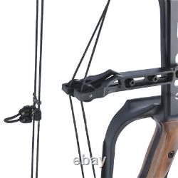 Compound Bow Set 21.5lbs-60lbs Steel Ball Arrows Dual Purpose Archery Hunting