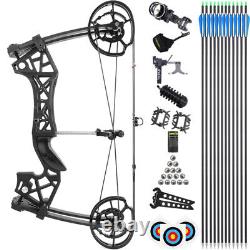 Compound Bow Set 40-65lbs Dual Use Steel Ball RH LH Archery Target Shooting Hunt