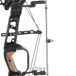 Compound Bow Set Dual-use Steel Ball Arrows Hunting 21.5lbs-60lbs Archery Target