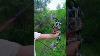 Compound Hunting Bows 38 Shorts Slingshot Slingshotking Compoundbow Archery Bowandarrow