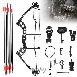Compound Right Hand Bow Kit 12 Arrows Archery Arrow Target Hunting Set 30-60lbs
