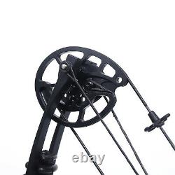 Compound Right Hand Bow Kit 310 fps Hunting Archery Target 12 Arrows 30-60lbs