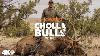 Crispi Presents Cholla Bulls New Mexico Archery Elk Hunt Part 3 Elkhunting