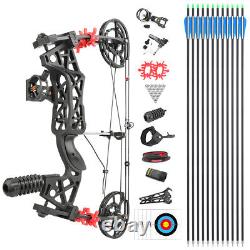Dual-use Compound Bow 40-65lbs Archery Steel Ball Shooting Hunting RH LH