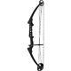 Genesis Gen-x Compound Archery Target Practice & Hunting Bow, Right Hand, Black